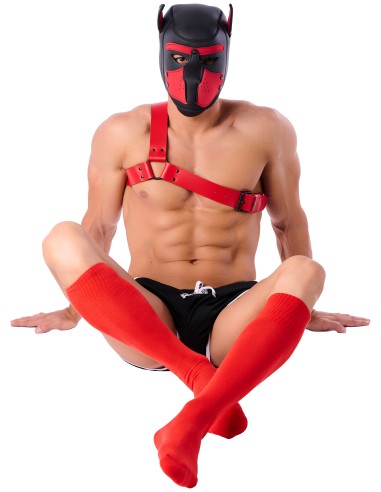 Chaussettes Hautes COLORS SneakXX Rouges
