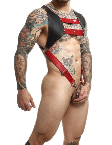 Harnais et Cockring Dngeon Noir-Rouge