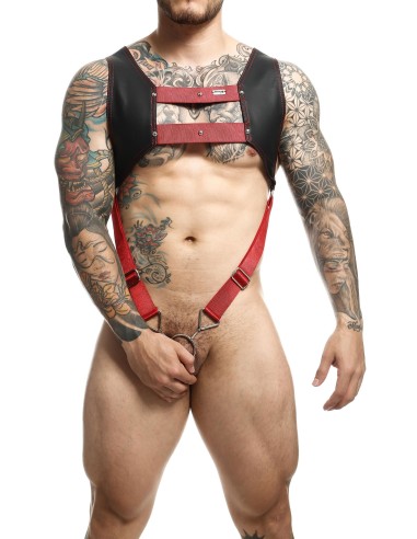 Harnais et Cockring Dngeon Noir-Rouge