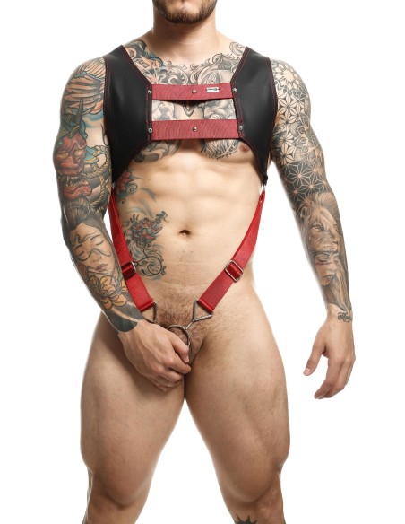 Harnais et Cockring Dngeon Noir-Rouge