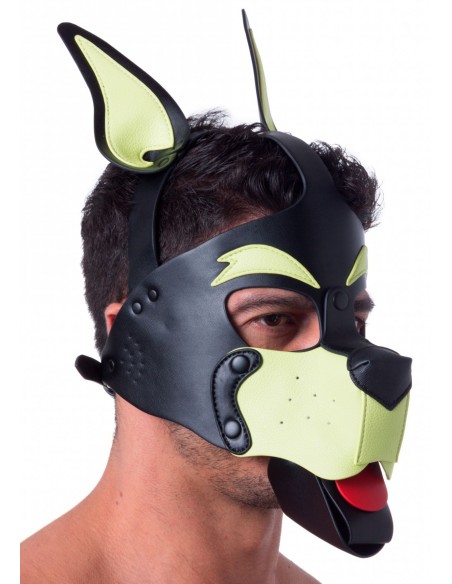Masque Puppy 665 Jaune/Vert Masque Puppy 665 Jaune/Vert