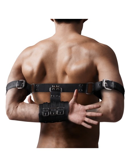 Attaches de restriction des bras Arm Restraints