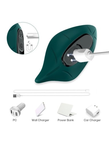 Stimulateur Clitoridien Leavy