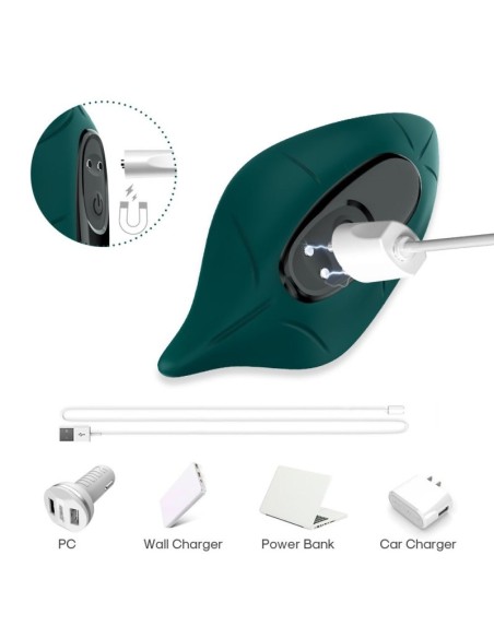 Stimulateur Clitoridien Leavy