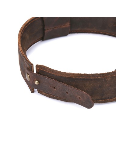 Collier et Laisse SHACK