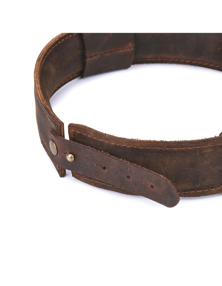 Collier et Laisse SHACK