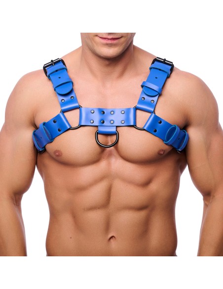 Harnais en cuir Bulldog Bleu