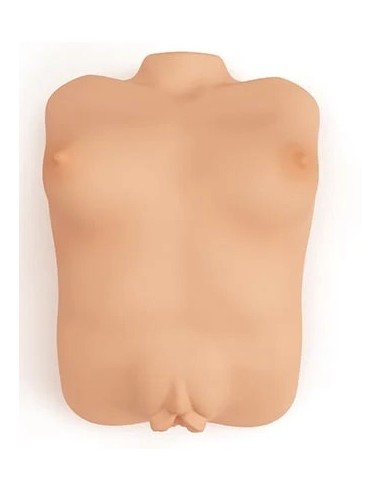 Masturbateur Tiny Case Shake Vulve et Seins