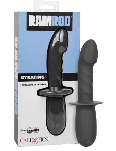 Gode Vibrant avec Poignée Gyrating Ramrod 11 x 3.2cm