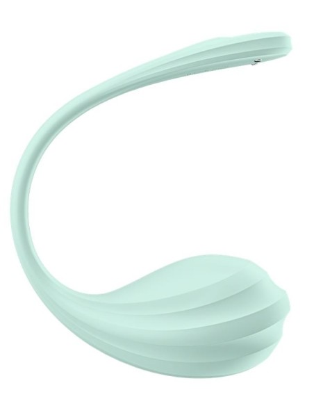 Vibromasseur Connecté Point G Smooth Petal 8.5 x 3.8cm Vert Menthe Vibromasseur Connecté Point G Smooth Petal 8.5 x 3.8cm Vert Menthe