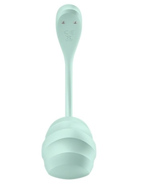 Vibromasseur Connecté Point G Smooth Petal 8.5 x 3.8cm Vert Menthe Vibromasseur Connecté Point G Smooth Petal 8.5 x 3.8cm Vert Menthe