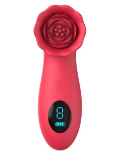 Stimulateur de Clitoris Flowerclit