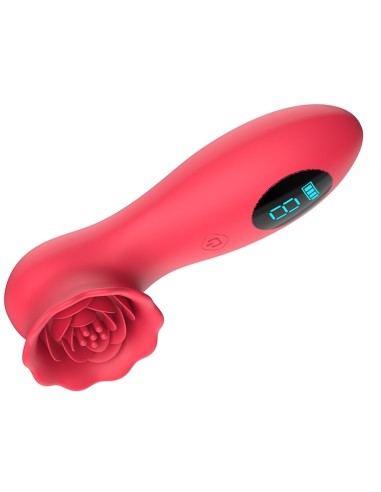 Stimulateur de Clitoris Flowerclit