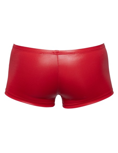 Boxer Terio Rouge