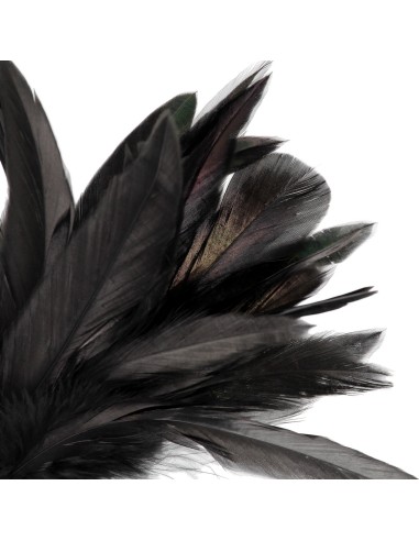 Plumeau Feather Tickler 20cm Noir