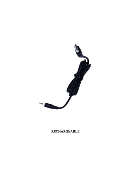 Double stimulateur Willie - Violet Double stimulateur Willie - Violet