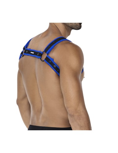 Harnais Neo Noir-Bleu