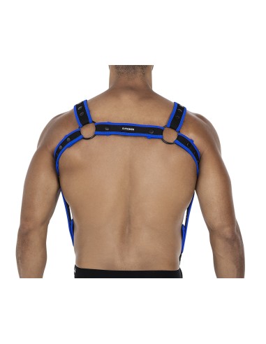 Harnais Neo Noir-Bleu