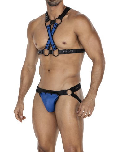 Harnais 4Way Noir-Bleu