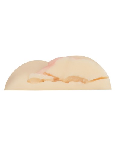 Masturbateur Vibrant Ellen Rogers 2 Entrées