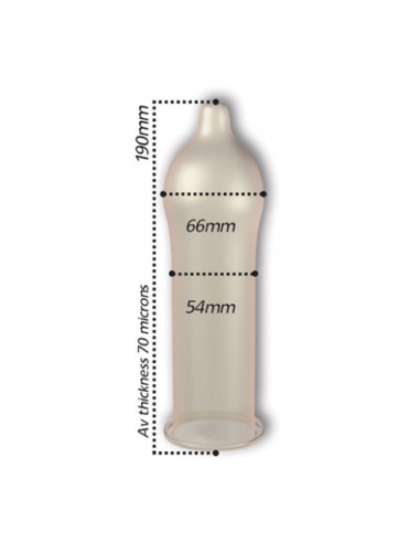 Préservatifs Regular 54mm x12