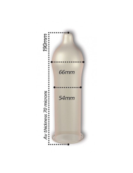 Préservatifs Regular 54mm x12