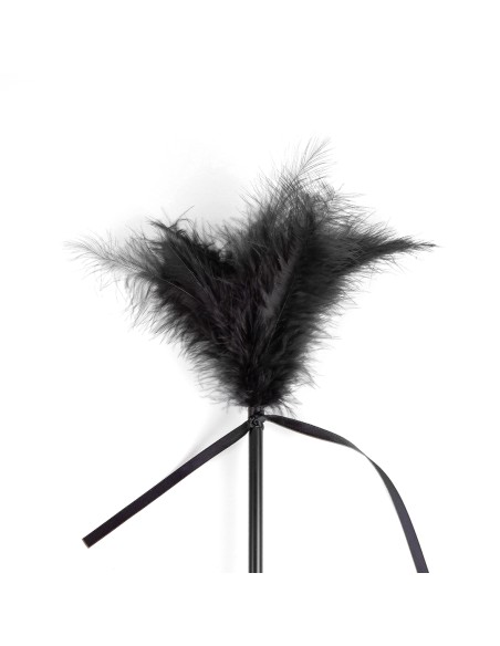 Cravache et Plumeau Secret Touch 50cm Noir