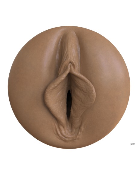 Masturbateur Fleshlight Boost Bang Dark