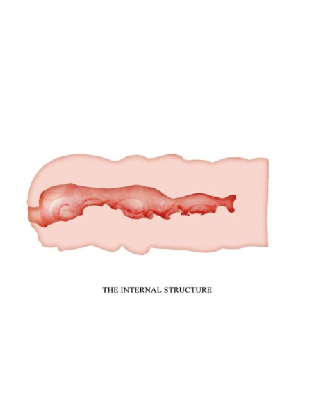 Masturbateur CRAZY BULL Isabel 13 cm