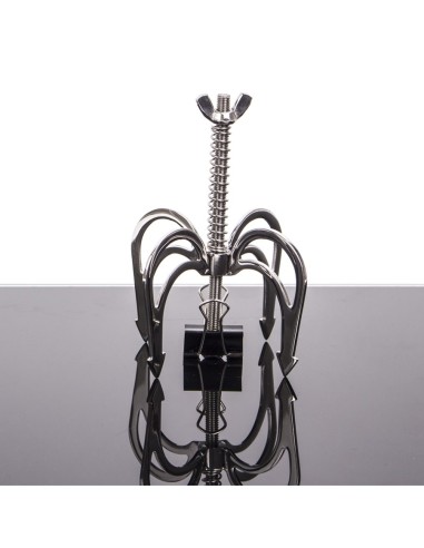 Griffes de dragon pour téton