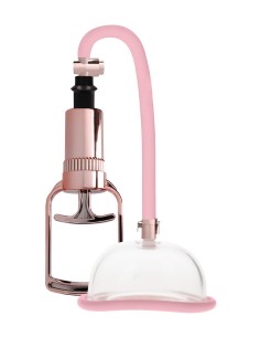 Pompe à vagin - Rose Gold
