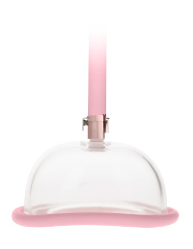 Pompe à vagin - Rose Gold